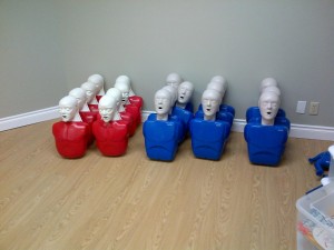 Adult CPR/AED and first aid training mannequins